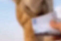 تَقَدم 6 مراكز.. “الهلال” يقفز للمركز الـ38 بترتيب “أوبتا” العالمي لأفضل أندية بالعالم