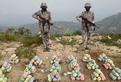 ” عيدنا فرحة ” برنامج ترفيهي بصبيا