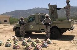 حرس الحدود بجازان يحبط تهريب 71 كيلوجرامًا من نبات القات المخدر