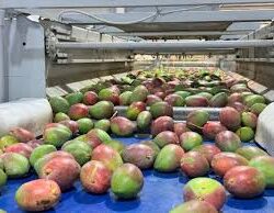 تعليم جازان يحصد الميدالية البرونزية على مستوى العالم في المعرض الدولي للاختراعات بجنيف