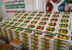 “الأرصاد”: أمطار متوسطة على منطقة جازان