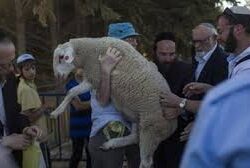 تحول كبير.. مصر بصدد إيقاف تصدير الغاز لتغطية الطلب المحلي