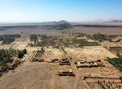 “أبو عبيدة”: الاحتلال ما زال غارقاً برمال غزة بعد 200 يوم من العدوان