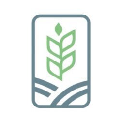 380 ألف طالب بتعليم جازان ينتظمون في 2,659 مدرسة بعد إجازة عيد الفطر