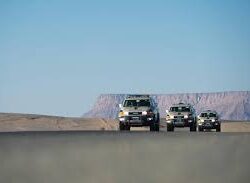 خلال أبريل.. الطلب على شراء “الفلل” في جازان يسجّل أكبر تراجع في 2024 بواقع 64%