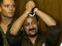 مركز الملك سلمان للإغاثة يوزع 150 رأساً من المواشي للنازحين في محافظة الجوف ضمن مشروع التمكين الاقتصادي للأيتام وأسرهم