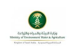 أمير جازان يستقبل وكيل وزارة البيئة لخدمة المستفيدين وشؤون الفروع