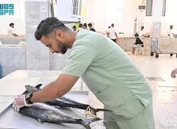 أمير جازان يكرم الطالبة ملك القيسي لحصولها على الميدالية البرونزية في معرض الاختراعات بجنيف