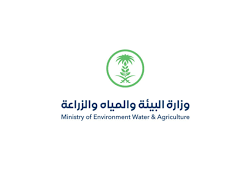 بعد اعترافهم بدولة فلسطين.. خارجية الاحتلال تستدعي سفراء إسبانيا والنرويج وإيرلندا