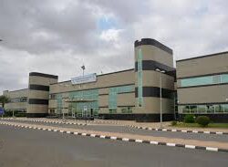 وزير الخارجية يجري اتصالًا هاتفيًا بنظيرته اليابانية اليوم