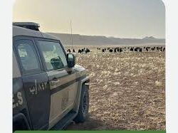 المملكة تفوز باستضافة منتدى الأونكتاد العالمي لسلاسل التوريد لعام 2026