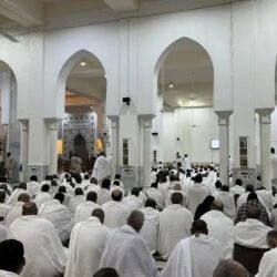 ضيوف خادم الحرمين الشريفين يستقرون في مشعر عرفات لأداء الركن الأعظم من أركان الحج