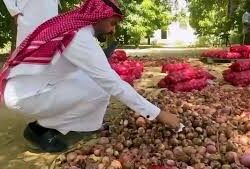 “الأرصاد”: هطول أمطار متوسطة على منطقة جازان