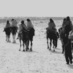 أبرز عناوين الصحف الصادره اليوم