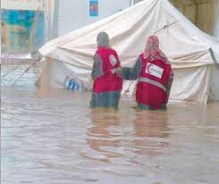 في اليوم 317 للعدوان.. ارتفاع عدد الشهداء في غزة إلى 40099 والمصابين إلى 92609