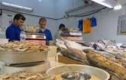 خادم الحرمين الشريفين يُصدر أمرين ملكيين