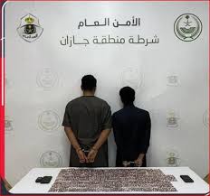 اللجنة الوزارية المشتركة بشأن غزة تجتمع مع أمين الأمم المتحدة في نيويورك