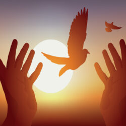 الدفاع المدني: استمرار هطول الأمطار الرعدية على معظم مناطق المملكة حتى الأحد المقبل