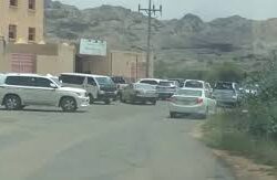 دوريات الإدارة العامة للمجاهدين بمنطقة جازان تقبض على شخص لترويجه (22444) قرصًا خاضعًا لتنظيم التداول الطبي