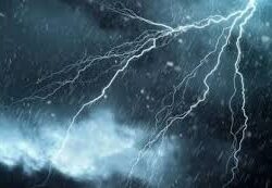 حرس الحدود بمنطقة جازان يحبط تهريب (126) كيلوجرامًا من نبات القات المخدر