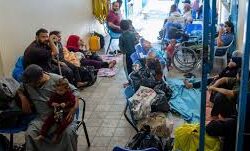 مصر.. شطب 716 شخصًا من “قوائم الإرهاب” بعد ثبوت توقف نشاطهم الإرهابي