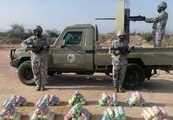 حرس الحدود بمنطقة جازان يحبط تهريب 140 كيلوجرامًا من نبات القات المخدر
