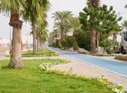 الكلية التقنية بجازان تطلق النسخة الأولى من “مسابقة الموهبة والابتكار”