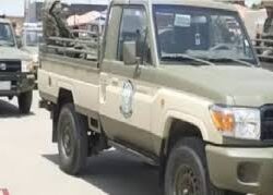 خادم الحرمين يرأس جلسة “الوزراء”.. والمجلس يُصدر 14 قرارًا