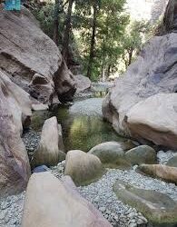 جماعة الحوثي الموالية لطهران  تطلق صاروخا  على تل ابيب والاخرى ترد بضربات جوية