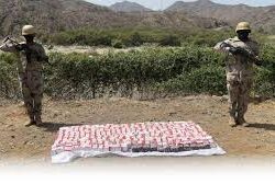 رجال وسيدات الأعمال بجازان يطّلعون على الفرص الاستثمارية بالمدينة الصناعية