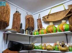 حرس الحدود بمنطقة جازان يحبط تهريب 135 كيلوجرامًا من نبات القات المخدر