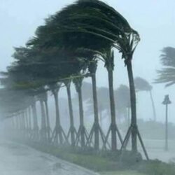 الجامعة العربية تؤكد أن تحقيق الاستقرار والسلام في الشرق الأوسط من خلال تسوية القضية الفلسطينية