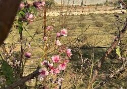 13 متستراً و1316 حاولوا عبور الحدود.. القبض على 21477 مخالفاً لأنظمة الإقامة والعمل