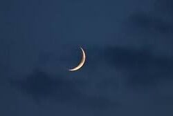 أمير منطقة جازان ونائبه يؤديان صلاة عيد الفطر