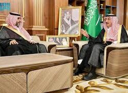 بدء المرحلة الثانية من مفاوضات هدنة غزة.. هل تشكل خطوة حاسمة لإنهاء الصراع الدامي؟