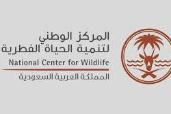 وصل لأعلى قمة له .. الائتمان المصرفي السعودي يسجّل نموًا خلال عام بأكثر من 371 مليار ريال