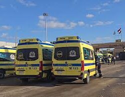 مكافحة المخدرات تقبض على (3) أشخاص بمحافظة فيفاء لترويجهم (7,500) قرص خاضع لتنظيم التداول الطبي