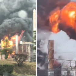 الأطفال في معرض البن السعودي الدولي.. رحلة ترفيهية عبر التراث والثقافة