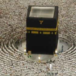 ارتفاع عدد الشهداء الفلسطينيين في العدوان الإسرائيلي على قطاع غزة إلى 50251 شهيدًا