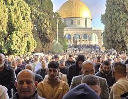 أمير منطقة جازان ونائبه يستقبلان المهنئين بعيد الفطر