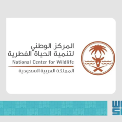 “الصحة” تدعو للمشاركة في أكبر فعالية مشي تُقام بمختلف مناطق المملكة