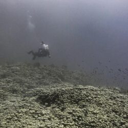 كوريا الشمالية تؤكد نشر قوات في روسيا