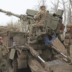 “البحر الأحمر الدولية” تكشف عن مستعمرة مرجانية عمرها 800 عام