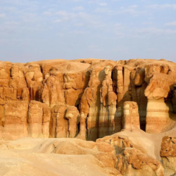 خادم الحرمين الشريفين وسمو ولي العهد يبعثان برقيتي عزاء في وفاة البابا فرانسيس رئيس دولة الفاتيكان