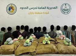 حرس الحدود بمنطقة جازان يحبط تهريب (51.4) كيلوجرامًا من مادة الحشيش المخدر