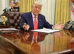 جهود أمنية متواصلة.. إحباط تهريب أكثر من 170 كيلوجرامًا من القات والحشيش في جازان وعسير