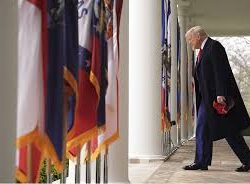 ارتفاع عدد الشهداء الفلسطينيين في القصف الإسرائيلي على قطاع غزة إلى 36 شهيدًا