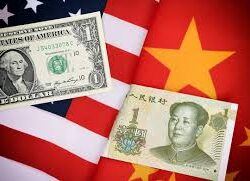 ارتفاع حصيلة شهداء غزة إلى 51.065 والإصابات إلى 116.505 منذ بدء العدوان