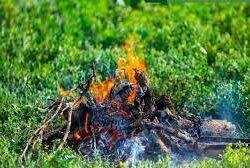 أمير منطقة جازان يستقبل منسوبي الإمارة المهنئين بعيد الفطر