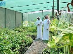 جامعة جازان تنظّم اللقاء التعريفي لهاكاثون الابتكار الرقمي